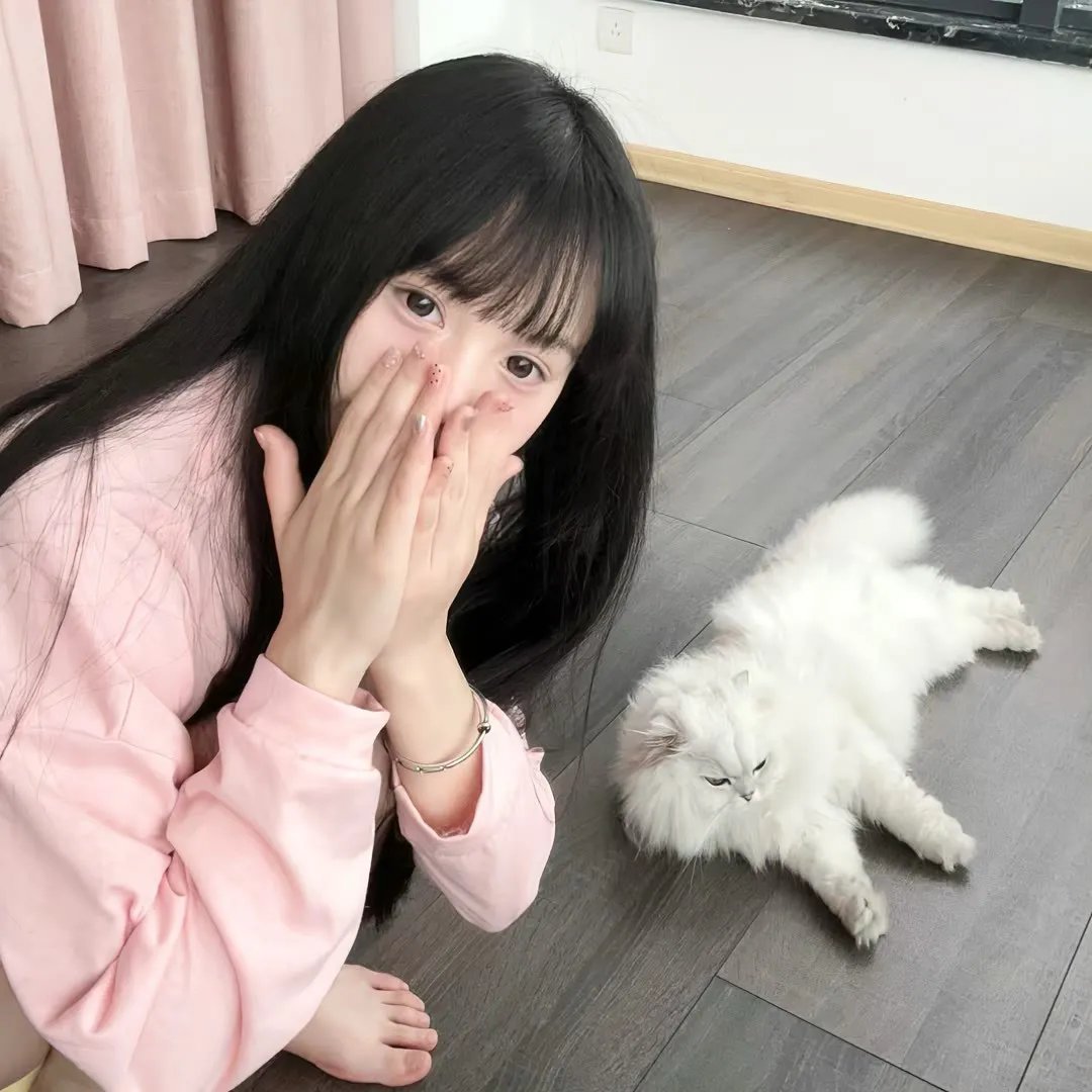 武当派：美国传奇第三季